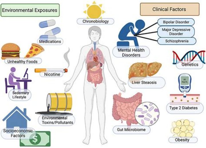 The Essential Guide To Understanding Hasbulla Disease: Symptoms, Diagnosis, And Treatment