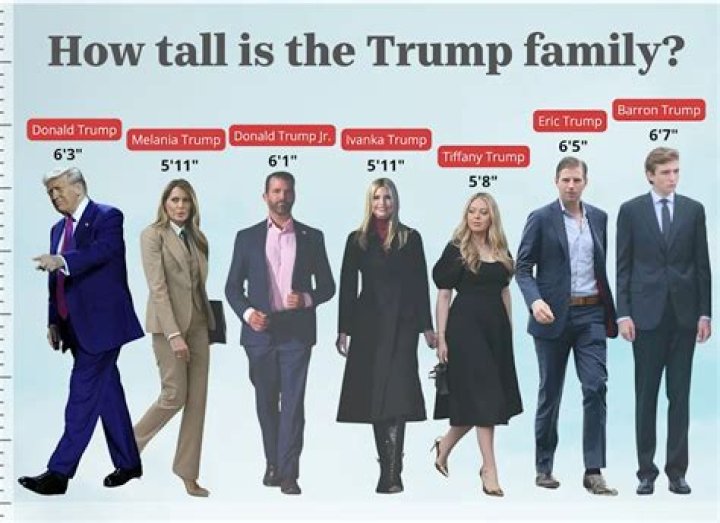 Unveiling McGregor's True Height: The Official Measurement